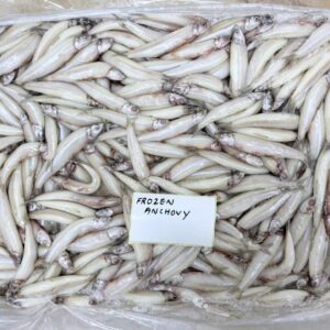 Fresh Anchovy Fish