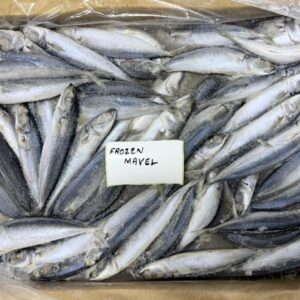 Frozen Mackerel Fish