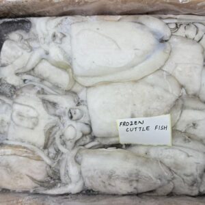 Frozen Cuttlefish